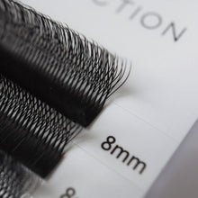 Load image into Gallery viewer, D Curl - 5D Lashes *Slim Fan Collection*