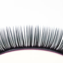 Load image into Gallery viewer, C Curl Ellipse Lashes With Split Tips - The Lash Store