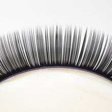 Load image into Gallery viewer, D Curl Ellipse Lashes With Split Tips - The Lash Store