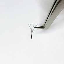 Load image into Gallery viewer, D Curl - 4D Premade WYSPY Fans